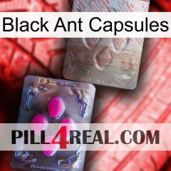 Black Ant Capsules 38